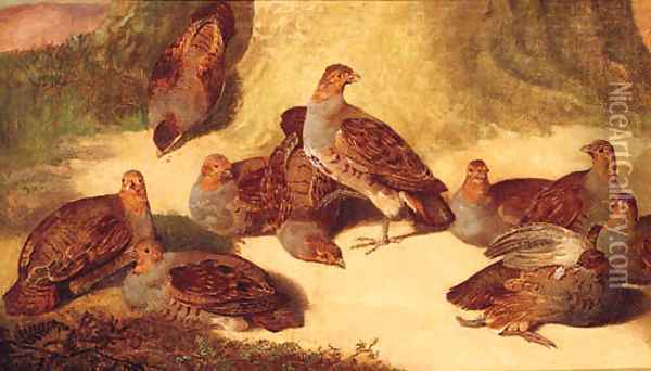 A Covey Of Partridges Beneath A Tree Oil Painting - Joseph Bensted