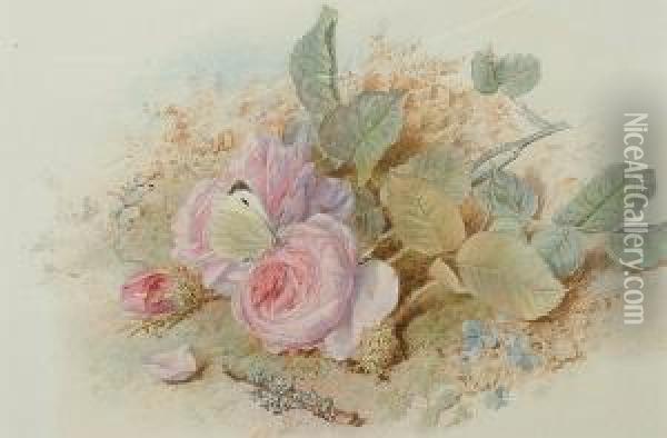 Pink Roses And A Butterfly Oil Painting - Mary Elizabeth Duffield