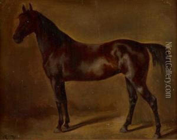 Portrat Eines Rappen, Wohl Pferd Von Baron Guiguer De Prangins Oil Painting - Rudolf Koller