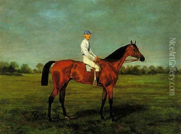 Racehorse With Jockey Oil Painting - John Arnull