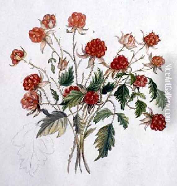 Wild Raspberry Oil Painting - Caroline Louisa Meredith