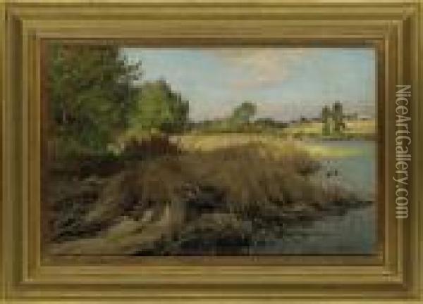 Ducks On A Reedy River Bank Oil Painting - Frederick William N. Whitehead