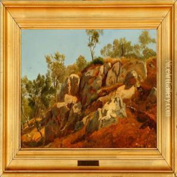 A Rocky Scene From Capri Oil Painting - Anders Christian Lunde