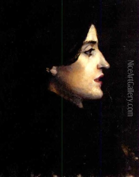 Portrait Of A Lady In Profile Oil Painting - Ralph Wormeley Curtis