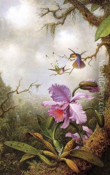 Two Hummingbirds And A PinkOrchid Oil Painting - Martin Johnson Heade
