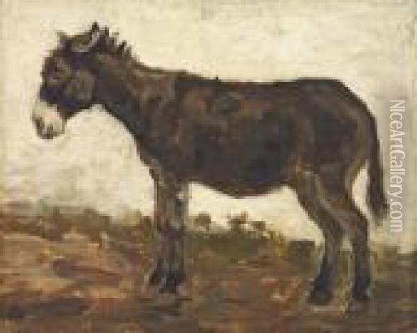 A Study Of A Donkey Oil Painting - John Constable