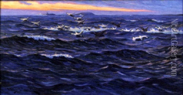 Sjofaglar I Havsbandet Oil Painting - William Gislander