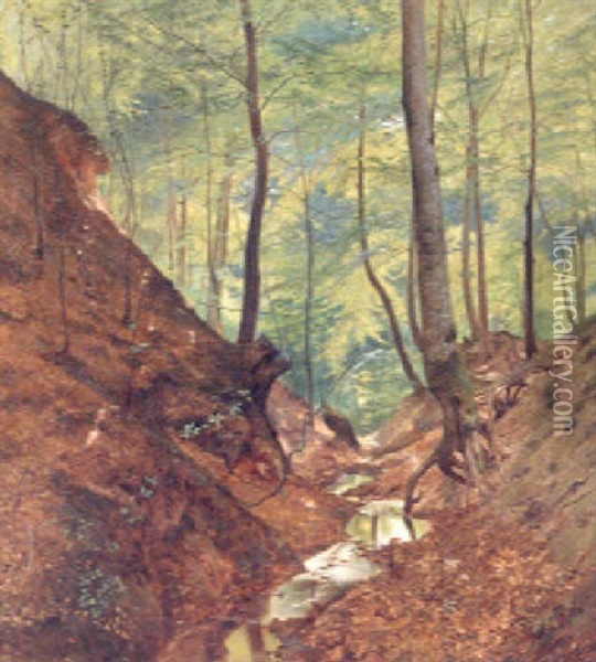 A Stream In A Sunlit Wood Oil Painting - Julius Petersen