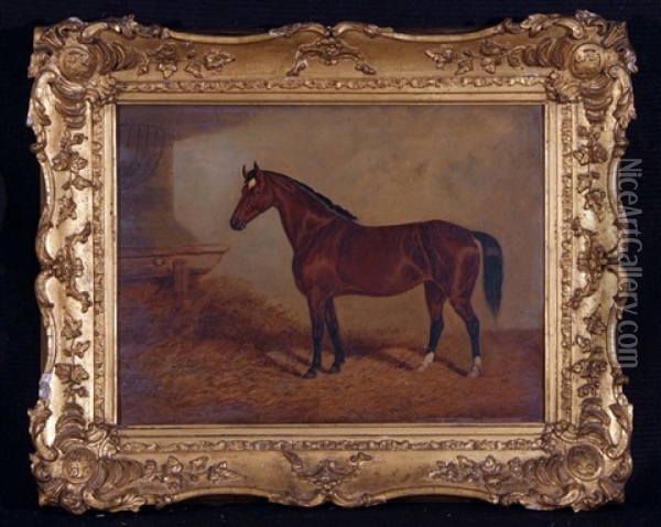 Brown Horse In Stable Oil Painting - Frederick Woodhouse Sr.