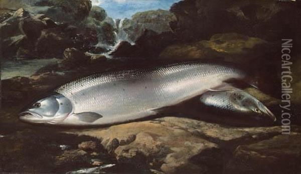 Salmon On A Rock By A River Oil Painting - Henry Leonidas Rolfe