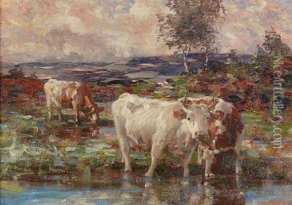 Cattle Watering Oil Painting - Andrew Douglas
