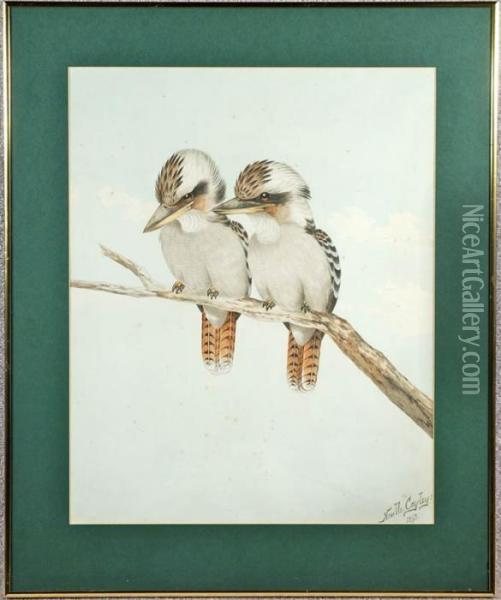 Kookaburras In Tree Oil Painting - Neville Henry P. Cayley