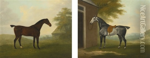 A Dappled Grey Hunter Tethered To A Stable And A Dark Bay Hunter In A Landscape (pair) Oil Painting - John Nost Sartorius