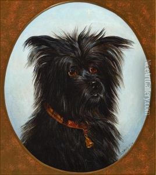 Portrait Of A Terrier Oil Painting - Edwin Frederick Holt