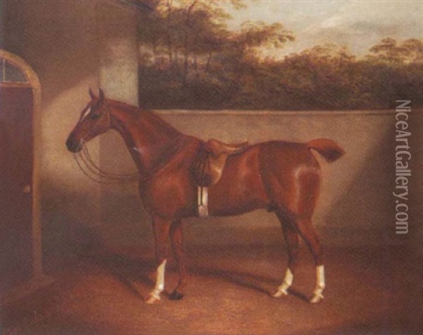 A Horse In The Yard Oil Painting - James Clark
