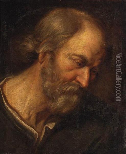 An Old Man, Head And Shoulders Oil Painting - Guercino