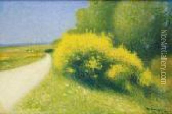 Route Aux Alentours De Cailhau Oil Painting - Achille Lauge