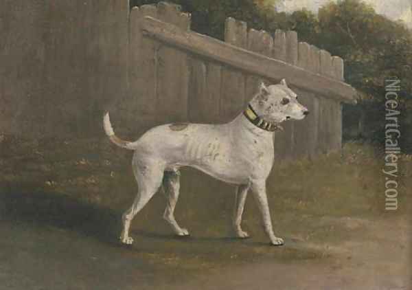 A bullterrier by a fence Oil Painting - Francis Sartorius