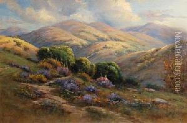 California Wildflowers On Rolling Hills Oil Painting - Manuel Valencia