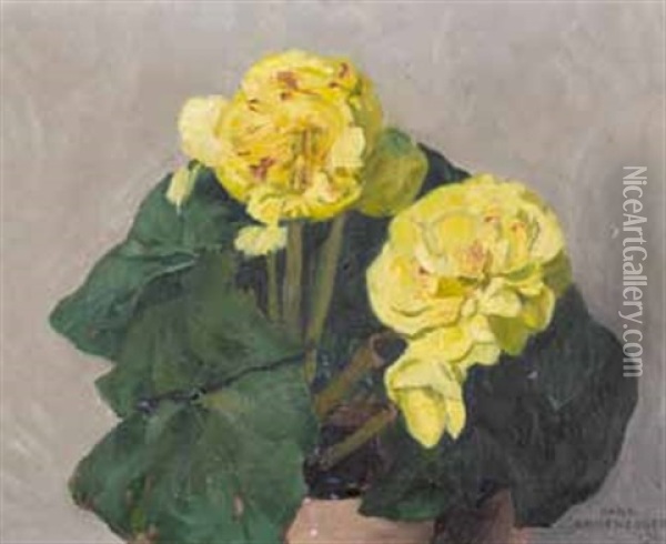 Gelbe Begonien (zwei) Oil Painting - Hans Emmenegger