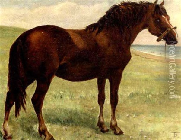 Hest Pa En Strandeng Oil Painting - Theodor Philipsen