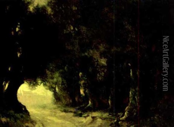 A Road Through The Woods Oil Painting - Carl Henry Von Ahrens