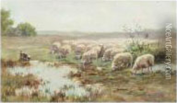 A Flock Of Sheep Oil Painting - Willem II Steelink