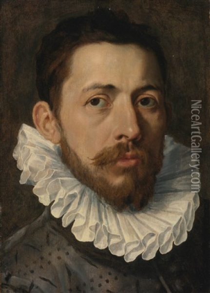 Portrait Of A Man Oil Painting - Frans Pourbus the Elder