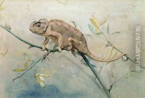 Chameleon Oil Painting - Edwin John Alexander