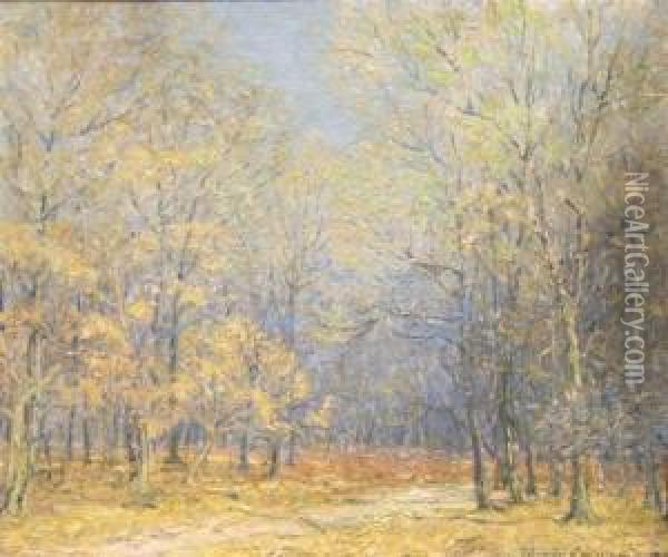 Forest Scene Oil Painting - Edward K. Williams