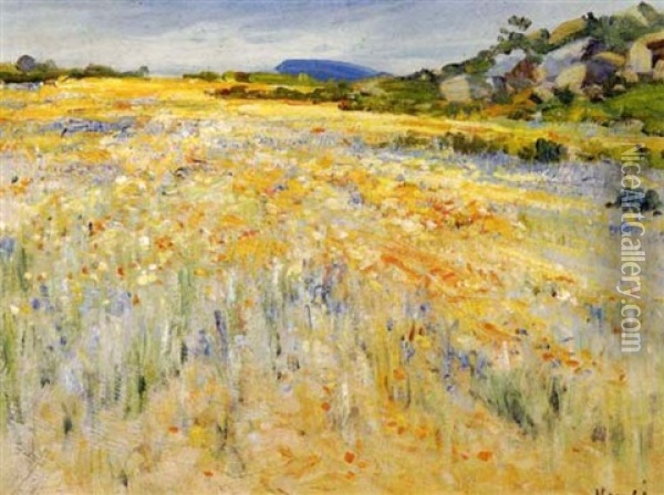 Namaqualand In Bloom Oil Painting - Pieter Hugo Naude