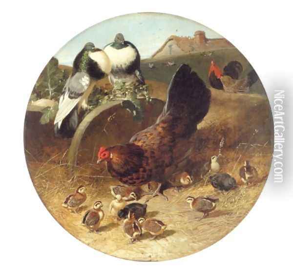 Hen With Chicks & Pigeons Oil Painting - John Frederick Herring Snr
