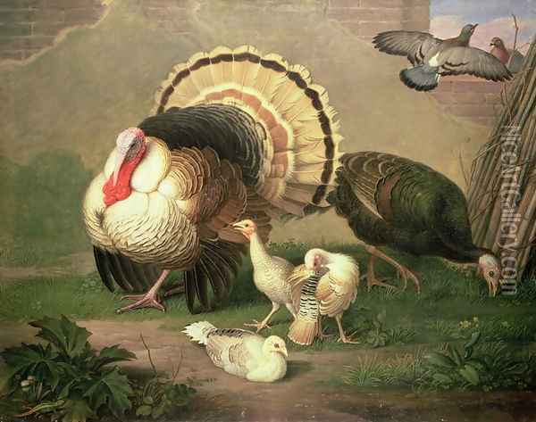 Turkeys Oil Painting - Johann Wenzel Peter