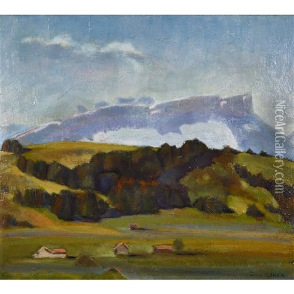 Appenzeller Landschaft Im Seealpgebiet Oil Painting - Carl August Liner