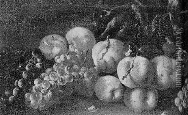 Still Life Of Grapes, Vines And Peaches Scattered On The Ground Oil Painting - Michelangelo di Campidoglio