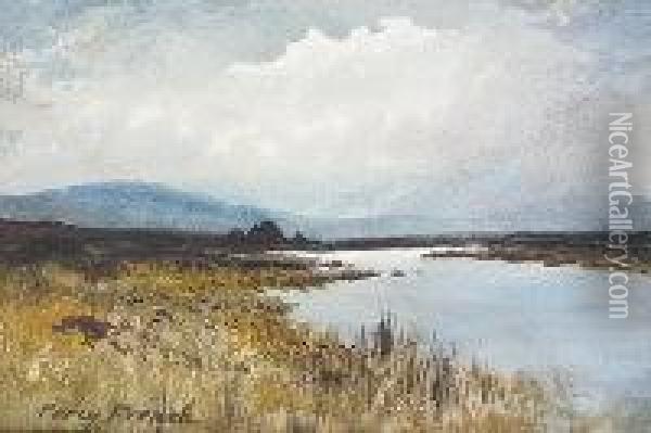 Bog Landscape With River Oil Painting - William Percy French