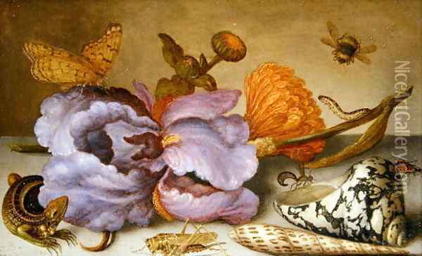 Still life depicting flowers, shells and insects Oil Painting - Balthasar Van Der Ast