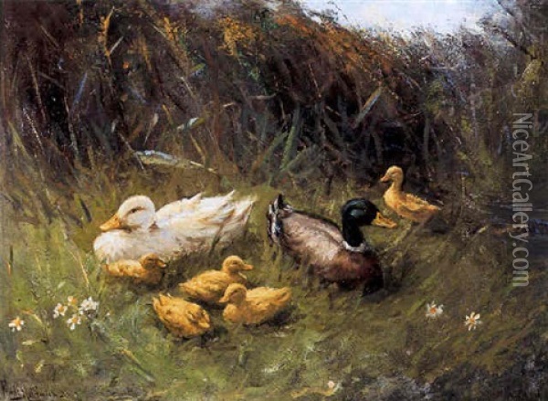 Eenden In Het Gras Oil Painting - Franciscus Willem Helfferich