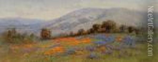 California Poppies Oil Painting - William Jackson