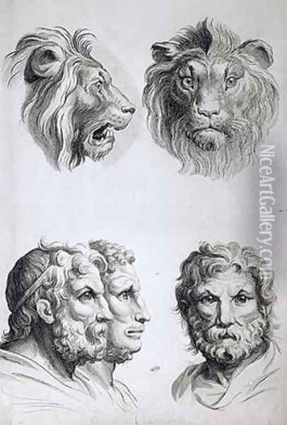 Similarities Between the Head of a Lion and a Man Oil Painting - Charles Le Brun