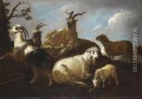 Goats And A Sheep In A Landscape Oil Painting - Philipp Peter Roos