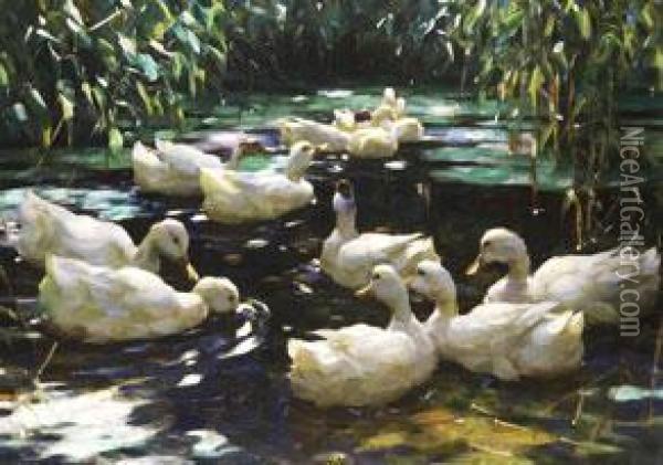 Schwimmende Enten Im Teich Oil Painting - Alexander Max Koester