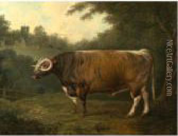 A Longhorn Bull Belonging To Thomas Princep In Front Of Croxall Church Oil Painting - John Boultbee
