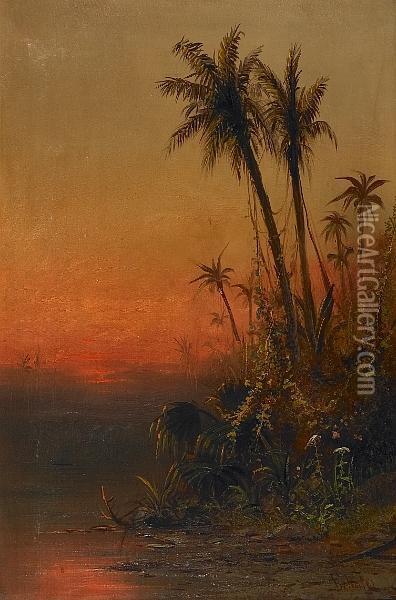 Evening On The Amazon River Oil Painting - Frederick Ferdinand Schafer