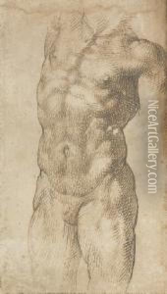 A Nude Male Torso Oil Painting - Bartolomeo Passarotti