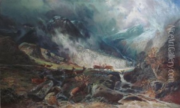 Rutting Stags In A Highland Landscape Oil Painting - Clarence Henry Roe