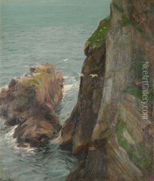 Coastal Cliffs Oil Painting - Michael Augustin Power O'Malley
