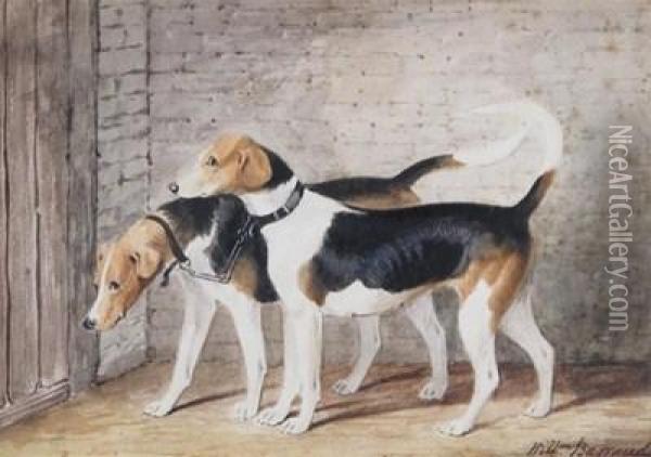 Two Hounds In A Stable Oil Painting - William Barraud