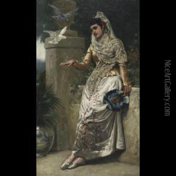 Spanish Beauty With Doves Oil Painting - John Haynes-Williams