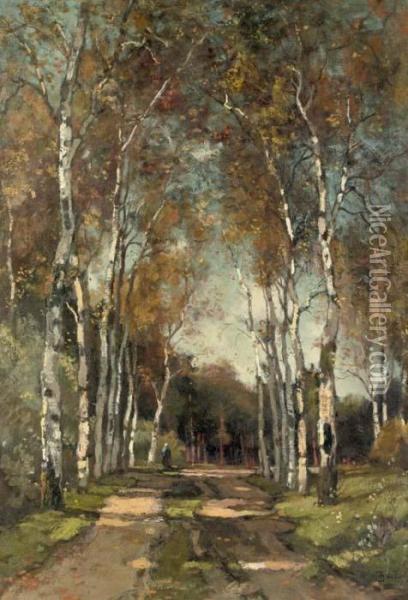 A Birch-lined Lane Oil Painting - Theophile Emile Achille De Bock